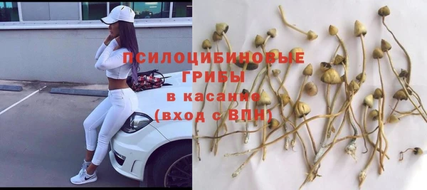 ECSTASY Протвино