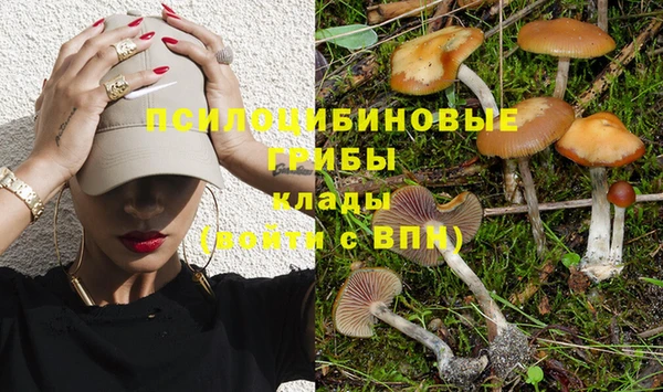 марки lsd Рославль