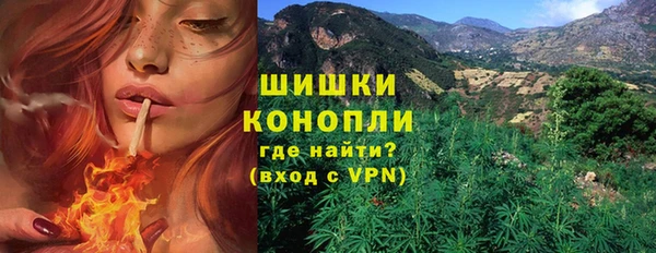 PSILOCYBIN Ростов