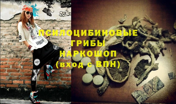 PSILOCYBIN Ростов